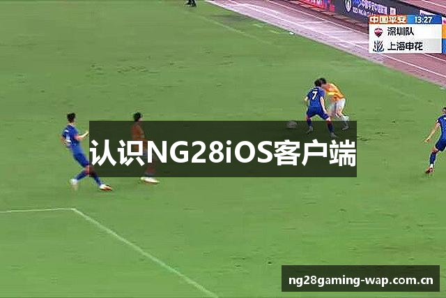 认识NG28iOS客户端